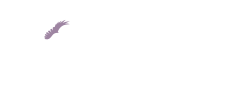 The Kingfisher School